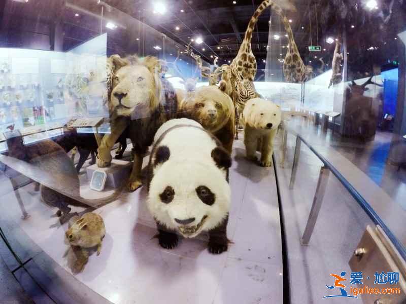 西湖文化廣場有什么好玩的,西湖文化廣場好玩嗎,西湖文化廣場怎么樣? 西湖文化廣場有什么好玩的,西湖文化廣場好玩嗎,西湖文化廣場怎么樣?