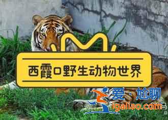 威海好玩嗎，威海哪個景點值得去，威海必游景點推薦？