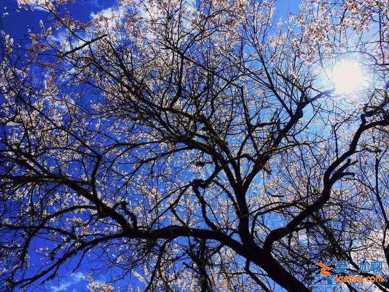 國內(nèi)有哪些冷門又好玩的地方，國內(nèi)人少景美的八大出游地？