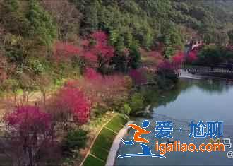 國內(nèi)有哪些冷門又好玩的地方，國內(nèi)人少景美的八大出游地？