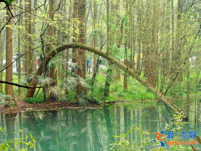 虎跑夢泉主要景點有哪些,虎跑夢泉好玩嗎,虎跑夢泉旅游攻略? 虎跑夢泉主要景點有哪些,虎跑夢泉好玩嗎,虎跑夢泉旅游攻略?