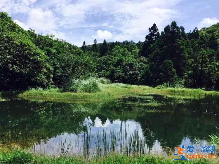 陽明山國家公園好玩嗎，陽明山國家公園哪里好玩，陽明山國家公園游玩攻略？