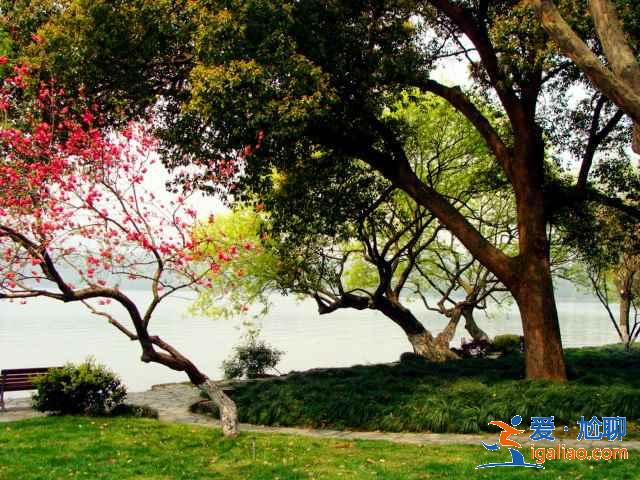 蘇堤春曉夏天好玩嗎，蘇堤春曉適合夏天去嗎，蘇堤春曉夏天好看嗎？