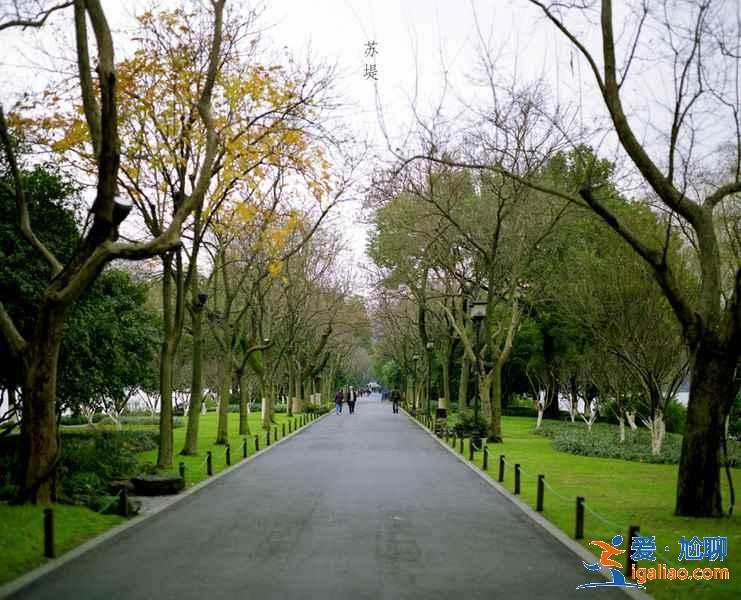 蘇堤春曉夏天好玩嗎，蘇堤春曉適合夏天去嗎，蘇堤春曉夏天好看嗎？