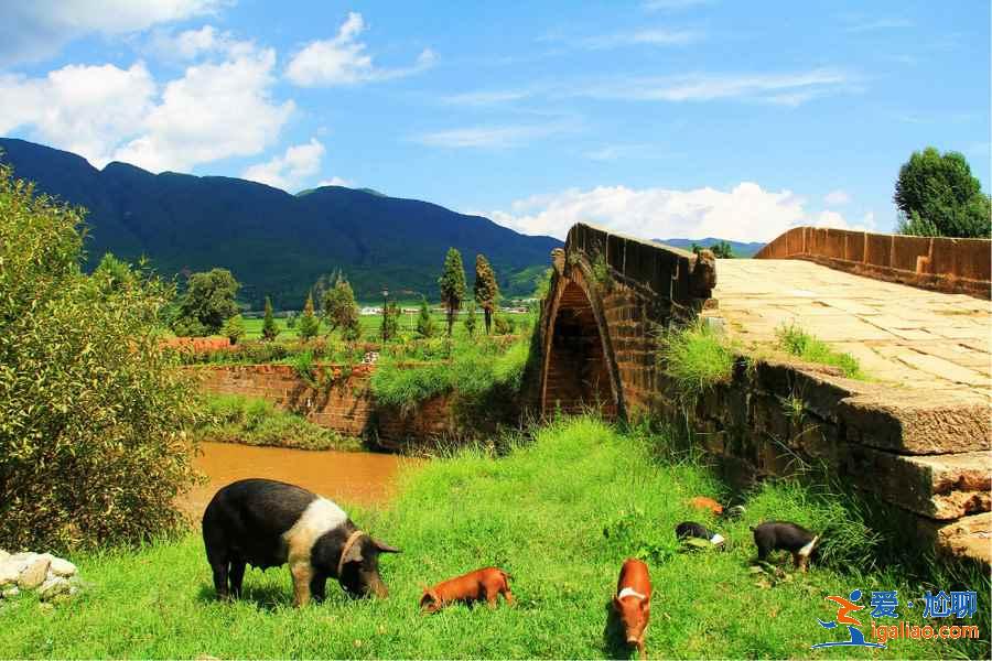 【暑假去哪里旅游便宜】2019暑假去哪里旅游便宜又好玩，暑假適合去哪里旅游？