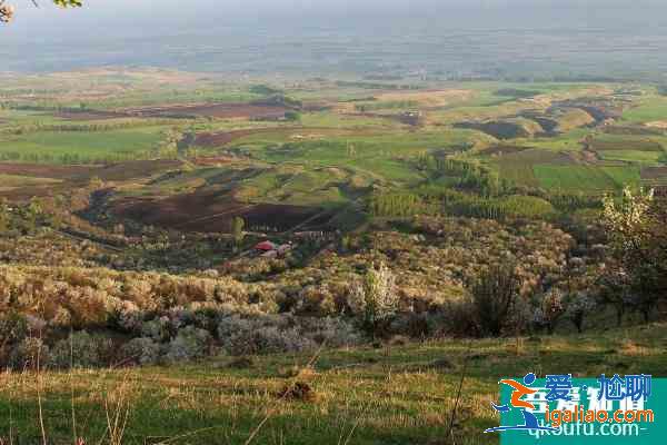 2021新源野果林最佳參觀時間? 2021新源野果林最佳參觀時間?