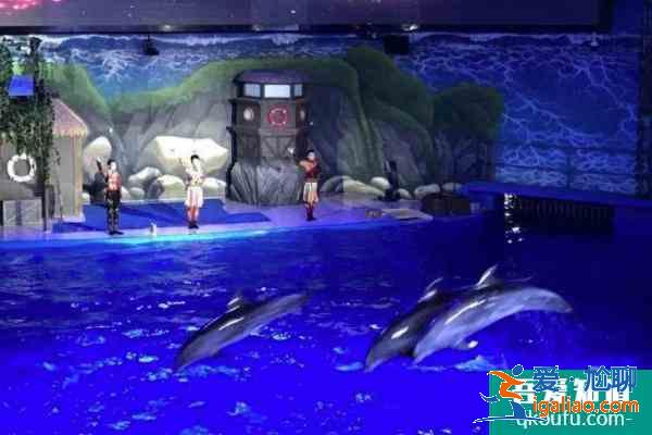 2021南寧海底世界門票多少錢一張 南寧海底世界表演時間 開館時間？