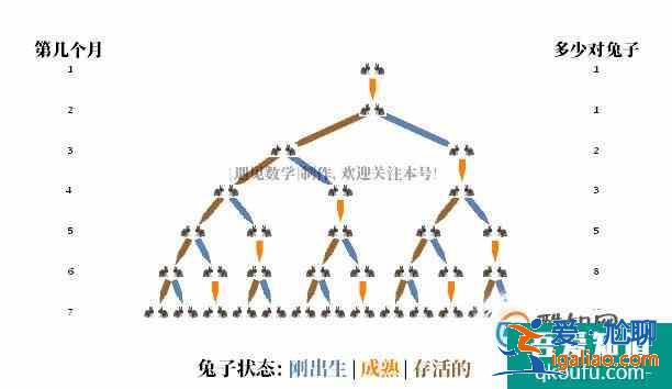 斐波拉契數列？