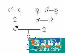 斐波拉契數列？