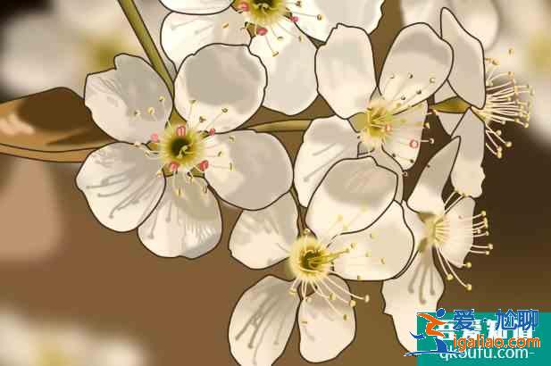 肥城桃花節是幾月幾日2021 泰安賞花的地方？