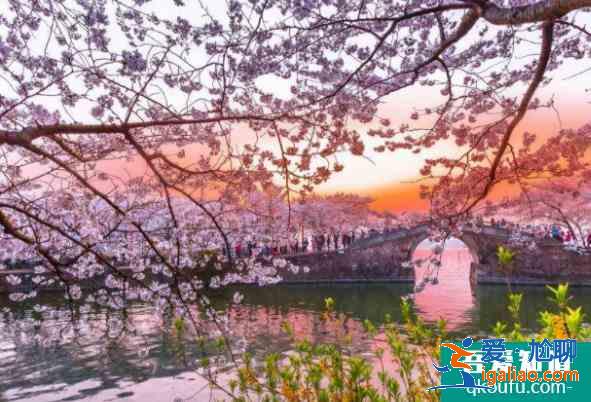 2021年4月份最適合旅游的地方有哪些？