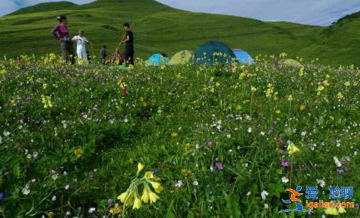 中國(guó)十大非著名山峰，登山愛(ài)好者的新路線【收藏】？