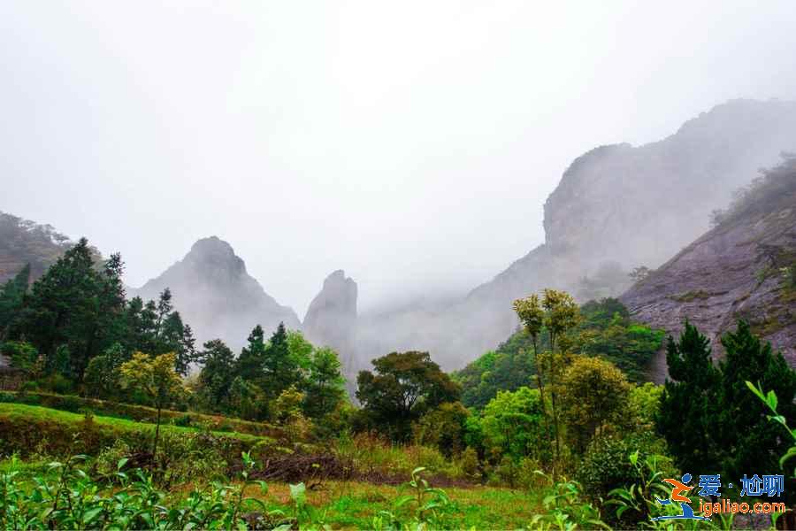 雁蕩山在哪里，雁蕩山好玩嗎？