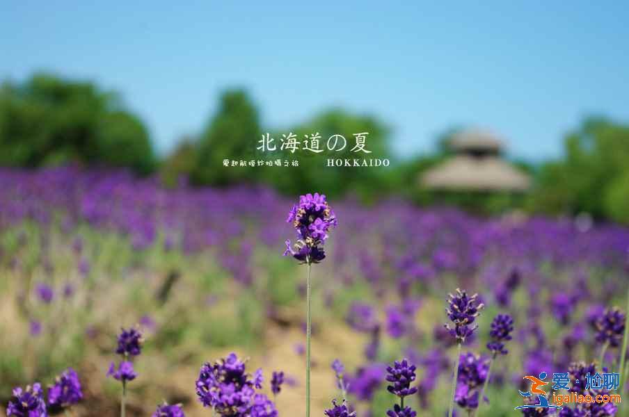 西安代懷機構,實用的育兒經？