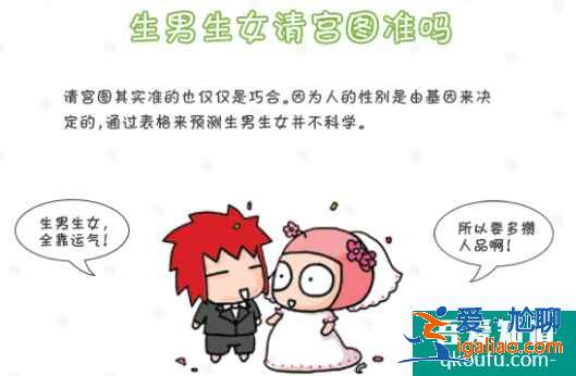 生男生女清宮圖？