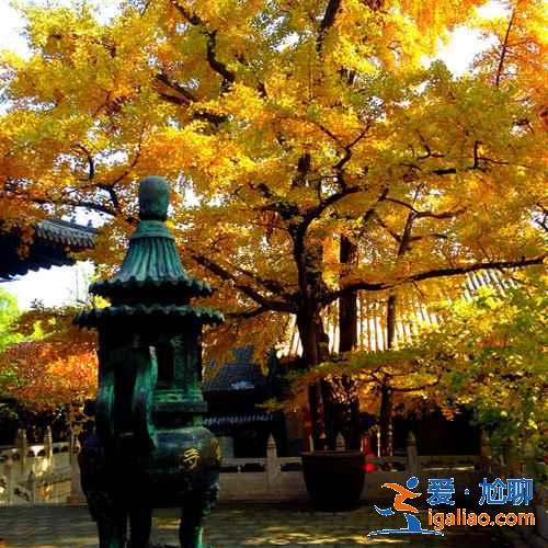 懷柔有什么好玩的，2019懷柔旅游景點(diǎn)推薦？