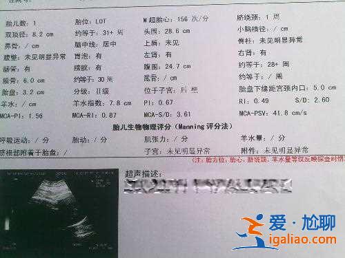 慕尼黑有什么好玩的，慕尼黑有哪些景點，慕尼黑必游景點推薦？