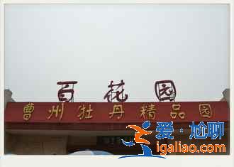 【菏澤有什么玩的】菏澤有什么旅游景點，菏澤有什么好玩的地方？