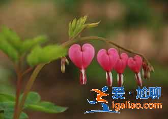 【菏澤有什么玩的】菏澤有什么旅游景點，菏澤有什么好玩的地方？