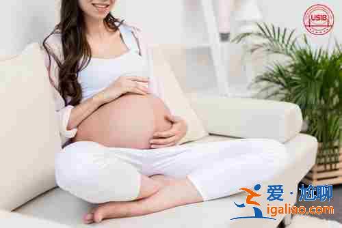 解說代生孩子推薦？