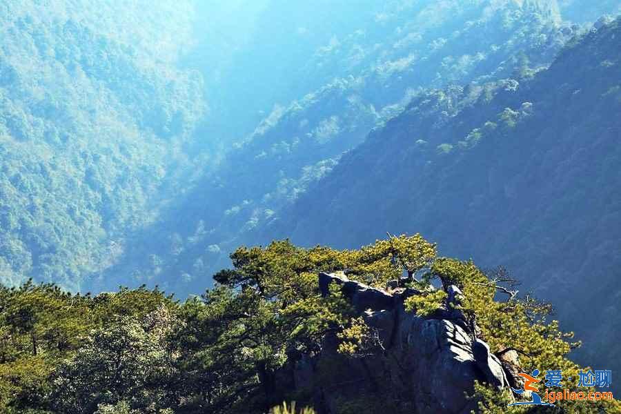 武功山:群山懷抱的天上草原? 武功山:群山懷抱的天上草原?