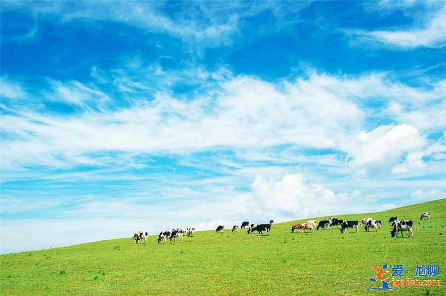 張北有什么好玩的地方，張北有什么旅游景點？