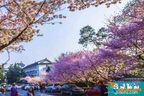 2021宜興賞櫻花的地方有哪些 賞櫻打卡地推薦? 2021宜興賞櫻花的地方有哪些 賞櫻打卡地推薦?