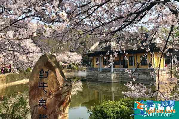 無錫看梅花的地方 無錫賞梅哪里最好？