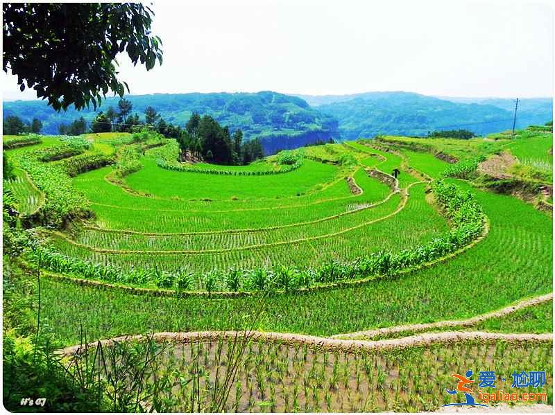 【湖北夏天有什么好玩的】2019湖北夏天哪里好玩，湖北哪里好玩又便宜？