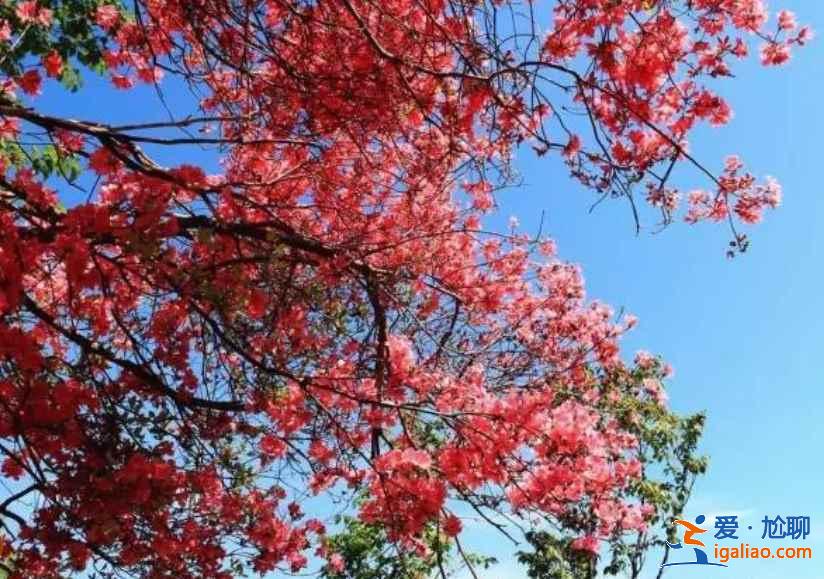 【湖北夏天有什么好玩的】2019湖北夏天哪里好玩，湖北哪里好玩又便宜？