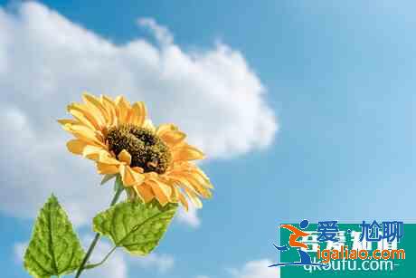 2021高考前較后兩周,家長如何有效的陪考?? 2021高考前較后兩周,家長如何有效的陪考??