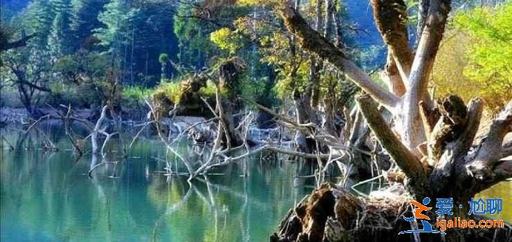【湖北夏天有什么好玩的】2019湖北夏天哪里好玩，湖北哪里好玩又便宜？