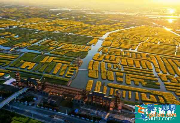 2021泰州秋雪湖郁金香花展時間及活動詳情？