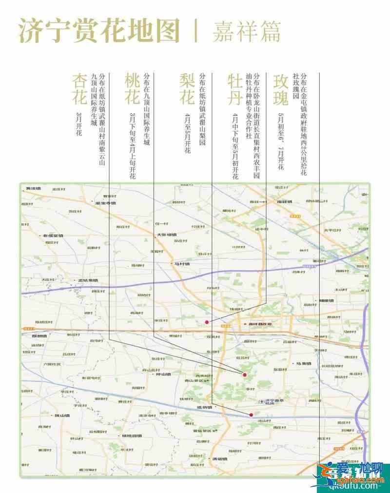 2021濟寧最新賞花地圖 濟寧賞花去哪里？
