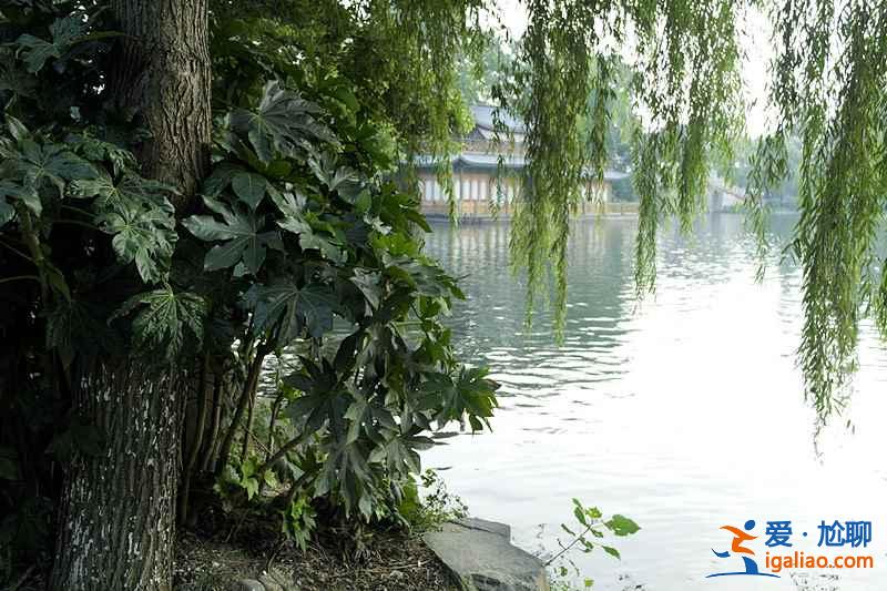 蘇堤春曉為何這么有名，蘇堤春曉為什么是必去景點？