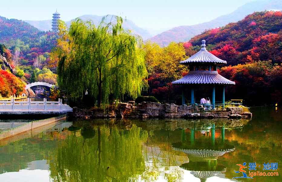 【山東三日游路線】山東三日美食之旅，美景美食兩不誤！？