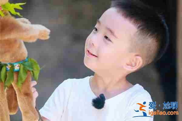 上海醫院那個助孕最好-怎么知道靠不靠譜？