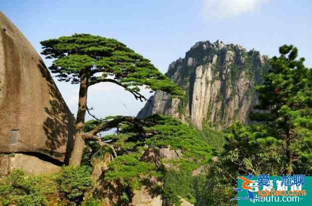 黃山必去的景區景點有哪些? 黃山必去的景區景點有哪些?