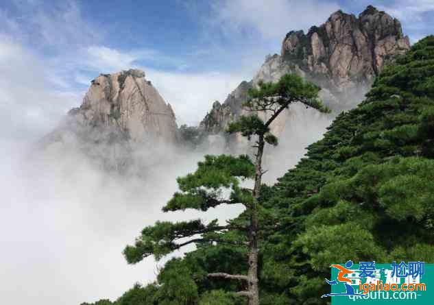 黃山必去的景區景點有哪些? 黃山必去的景區景點有哪些?