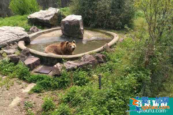 2021無錫動物園門票多少錢一張 無錫動物園春之童趣季時間？