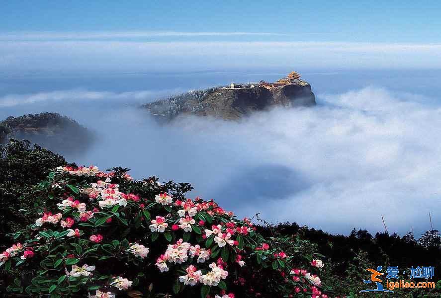 樂山熱門景點有哪些,樂山熱門景點攻略? 樂山熱門景點有哪些,樂山熱門景點攻略?