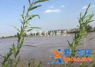 沙坡頭有什么好玩的，沙坡頭不可錯過的體驗？