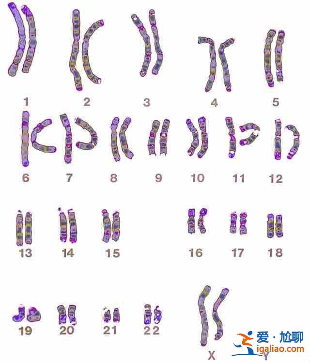 說(shuō)一說(shuō)西安試管代生男孩【給您一個(gè)健康的孩子】? 說(shuō)一說(shuō)西安試管代生男孩【給您一個(gè)健康的孩子】?