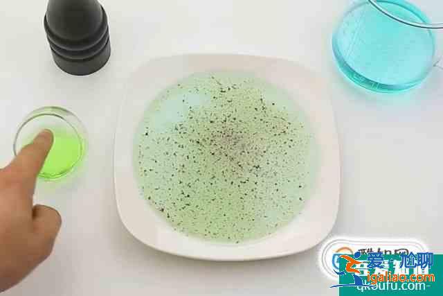科學小實驗：四處逃竄的胡椒粉？