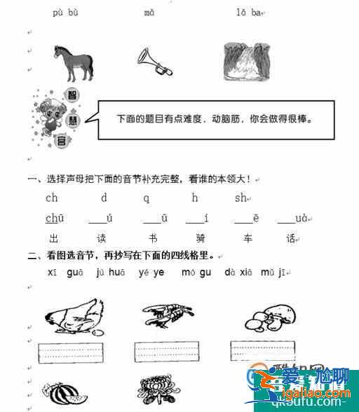 小學一年級語文上冊拼音專項練習題共八頁？