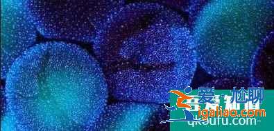 將“快跑”變?yōu)椤奥堋钡奈⒋碳し桨改懔私鈫幔浚? alt=