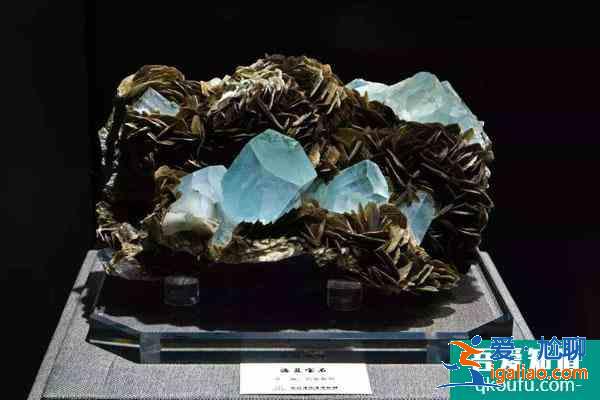 湖北地質(zhì)博物館開放時(shí)間 附免費(fèi)門票預(yù)約方式？