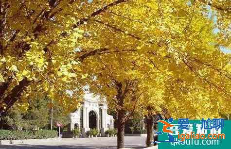 8月去清華大學需要預約嗎?怎么預約?？