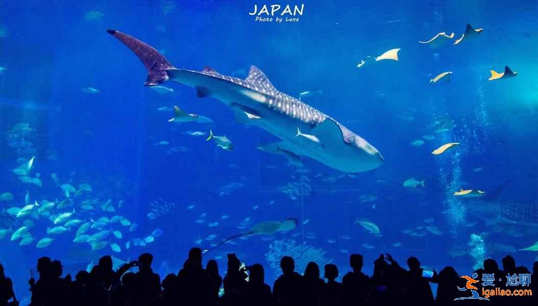 醫院包生男孩qq群[ 選擇我們 ]？