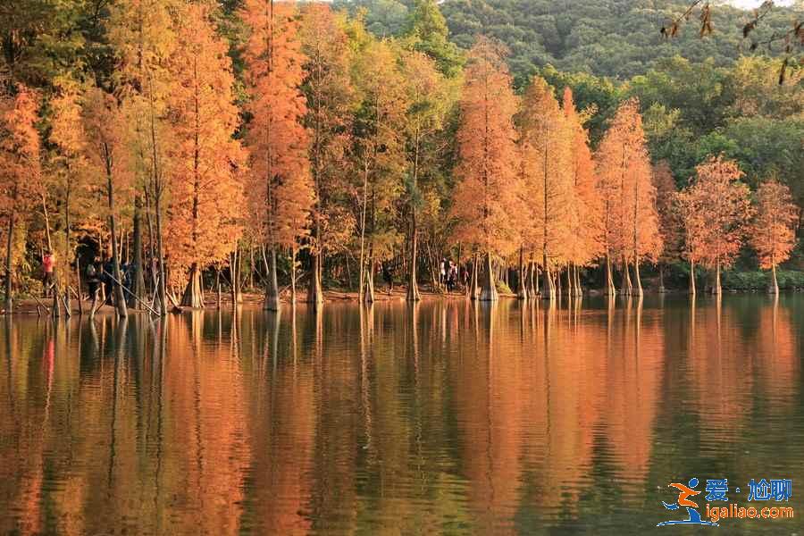 羊城八景是哪八景，羊城必去的八個景點是哪里？